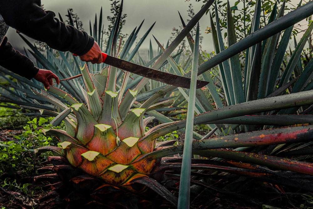 Mezcals
