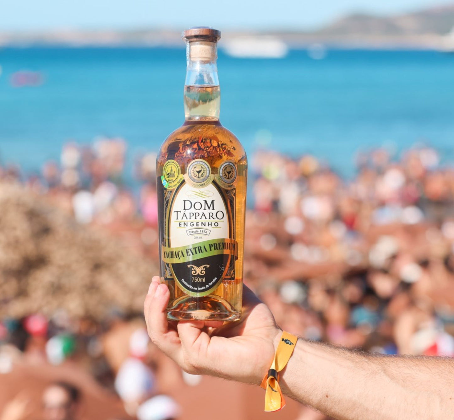
                  
                    Cachaça Dom Tapparo - Extra Premium 75 cl - 12 ans
                  
                