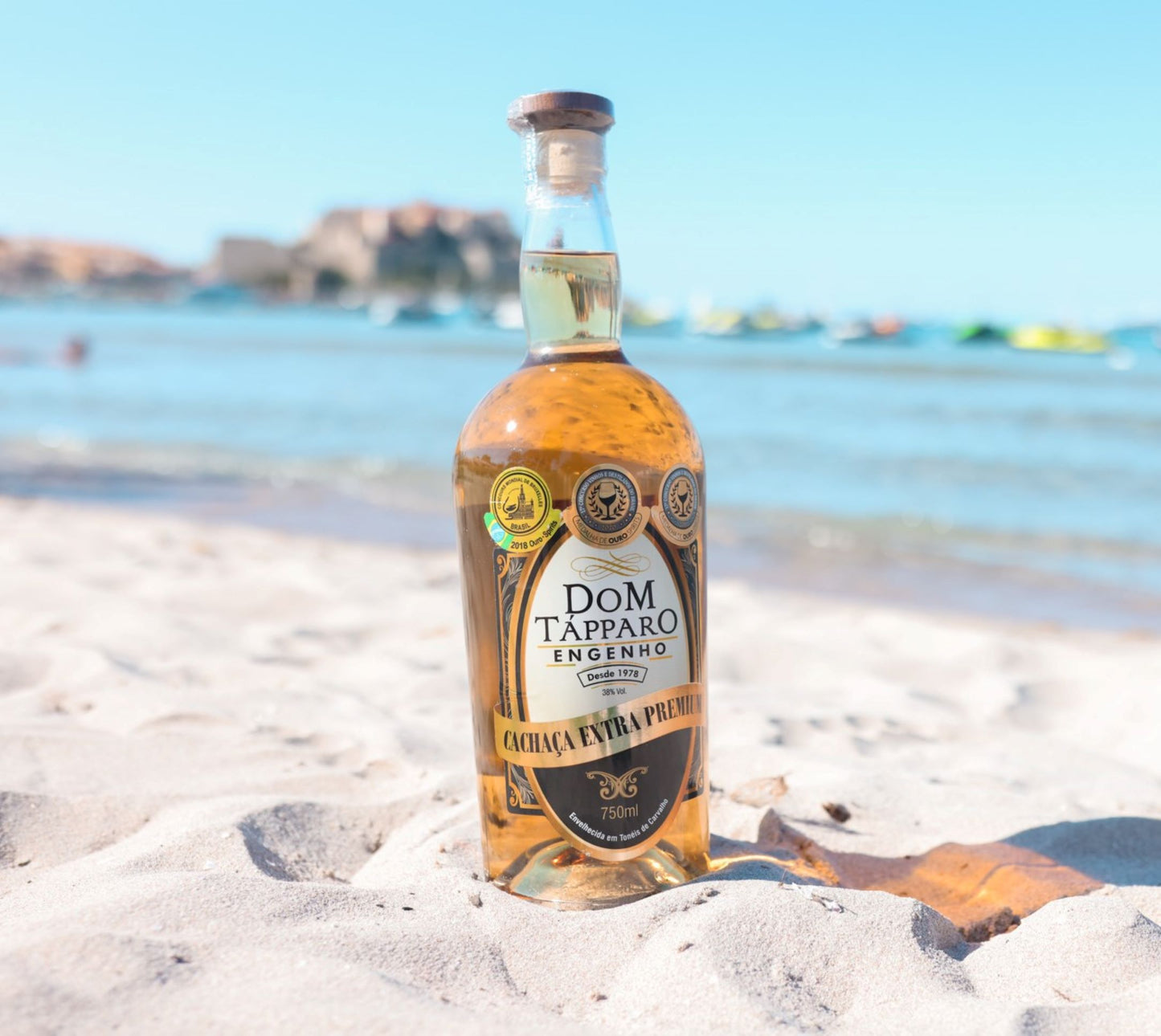 
                  
                    Cachaça Dom Tapparo - Extra Premium 75 cl - 12 ans
                  
                